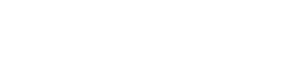 Bundlzz Logo